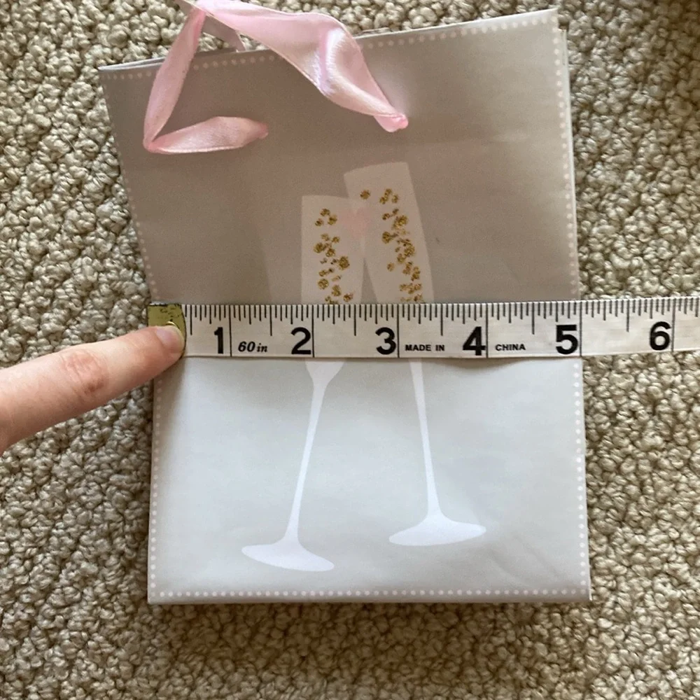 Small Champagne Gift Bags Set of 5 Like New Grad Bachelorette Engagement Party